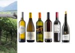 Typisch Südtirol - Das Weinpaket